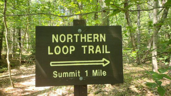 Bradbury Mountain State Park by null