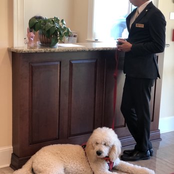 Altmeyer Funeral Homes & Crematory - Southside Chapel - Radar, grief therapy dog. He's an absolute doll and helped us get through this difficult time. - Funeral Services & Cemeteries Near Me - Virginia Beach, Virginia Altmeyer Funeral Homes & Crematory - Southside Chapel - Radar, grief therapy dog. He's an absolute doll and helped us get through this difficult time. - Funeral Services & Cemeteries Near Me - Virginia Beach, Virginia