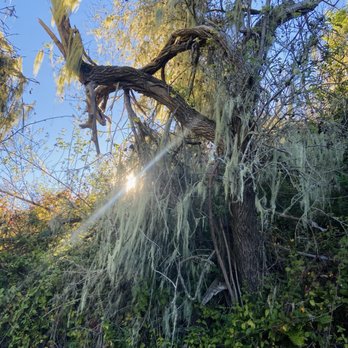 Saddle Mountain  - More of the beautiful nature - Campgrounds Near Me - Carmel, California