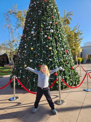 River Park Shopping Center by null