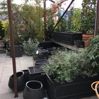 Pomarius Nursery - Nurseries & Gardening Near Me - Portland, Oregon Pomarius Nursery - Nurseries & Gardening Near Me - Portland, Oregon