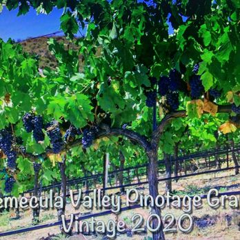 Temecula Valley Wine Society - Social Clubs Near Me Temecula Valley Wine Society - Social Clubs Near Me