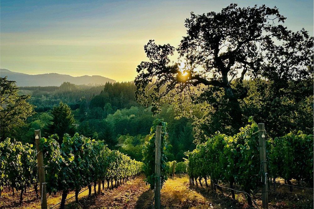 Lonesome Rock Estate Wines Logo