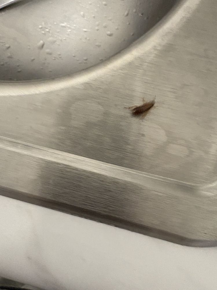 NOVO Properties - property management company in Washington, DC, DC