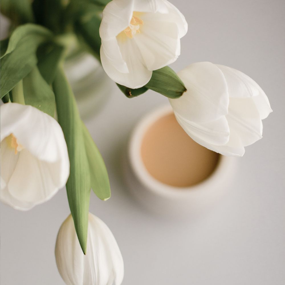 Open Door Therapy - grief counselor in Princeton, NJ