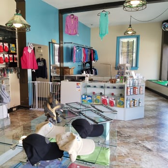 Pawprints By Penny - Pet Groomers Near Me - Buffalo, New York Pawprints By Penny - Pet Groomers Near Me - Buffalo, New York