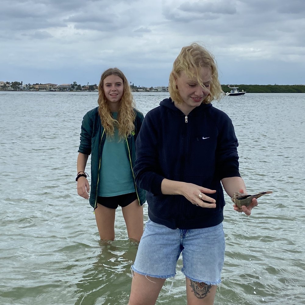Sea-N-Things - More conch shells. - Boating Near Me Sea-N-Things - More conch shells. - Boating Near Me
