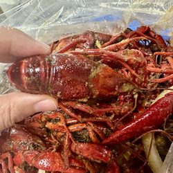 Ellis Seafood - Big crawfish