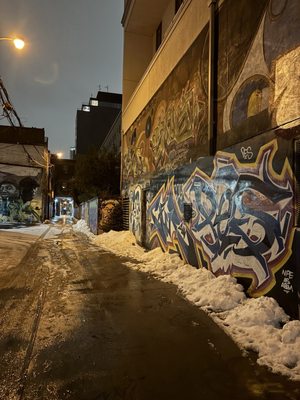 Graffiti Alley by null