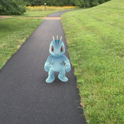 Fairfax Library Foundation - I love the walking trail here. Also, I found a Machop while strolling along here! It is a good Pokémon day!
