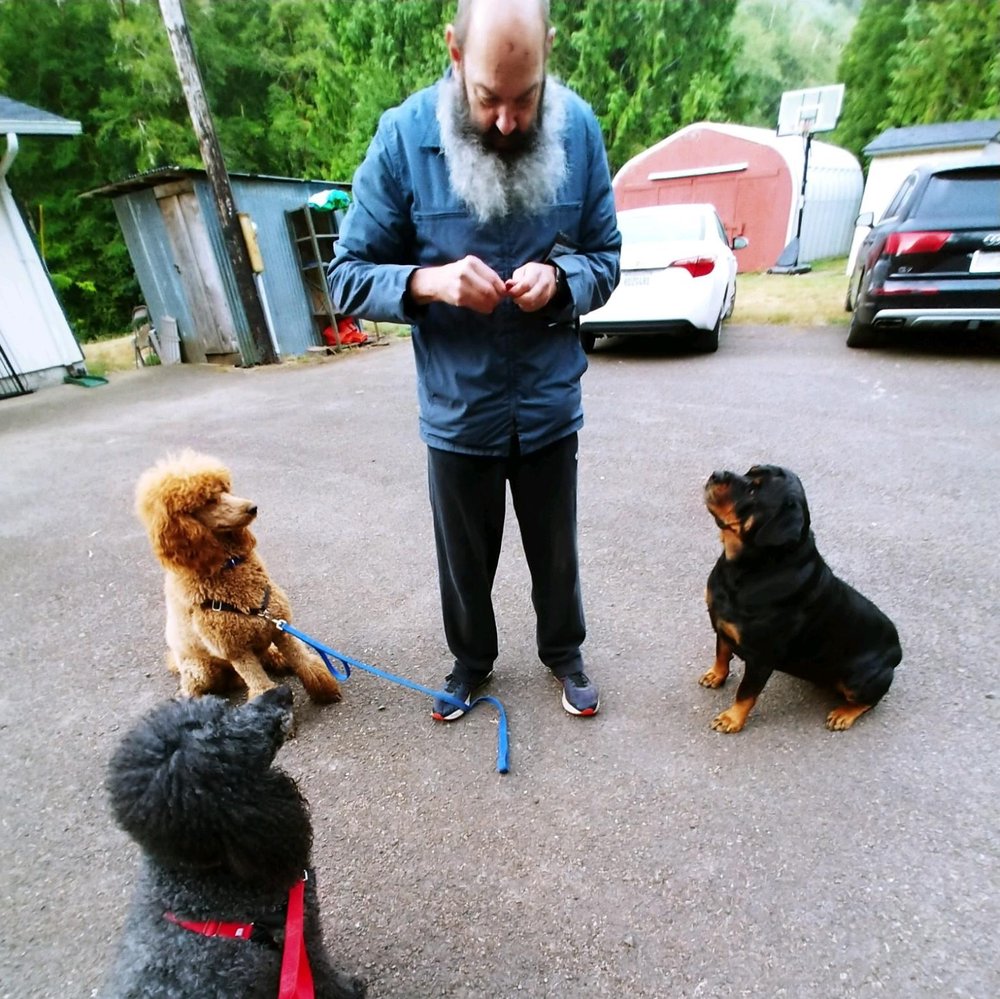 SMART DOG PET TRAINING LLC Updated September 2024 Salem, Oregon