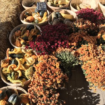 Reesor's Farm Market - Farmers Market Near Me - Markham, Ontario