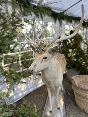 Chateau Sonoma by null