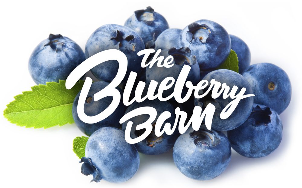 THE BLUEBERRY BARN Updated October 2024 108 W 12th St, Alma