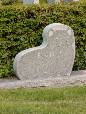 Hope Cemetery by null