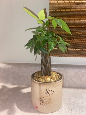 STEIN’S GARDEN & HOME - 13 Photos & 10 Reviews - 2220 E Moreland Blvd