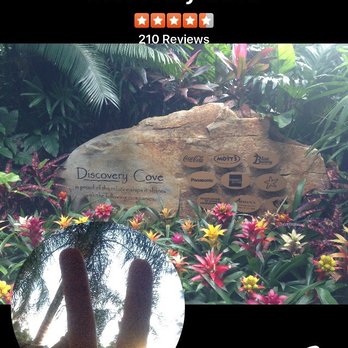 Discovery Cove - Entrance - Amusement Parks Near Me - Orlando, Florida Discovery Cove - Entrance - Amusement Parks Near Me - Orlando, Florida