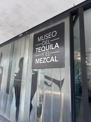 Museum of Tequila and Mezcal by null