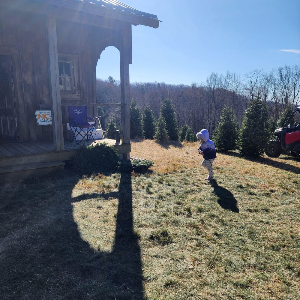 Good Shepherd Trees - Christmas Trees Near Me - Boone, North Carolina