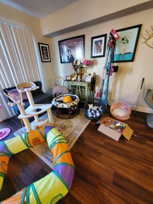 Pasadena Humane by null