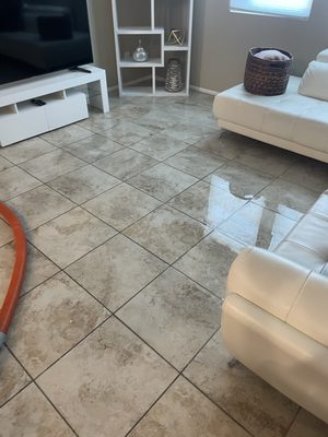 E Carpet Care on Yelp
