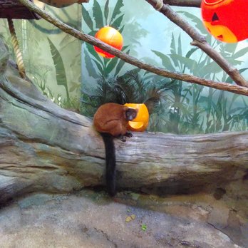 Akron Zoo - Zoos Near Me - Akron, Ohio