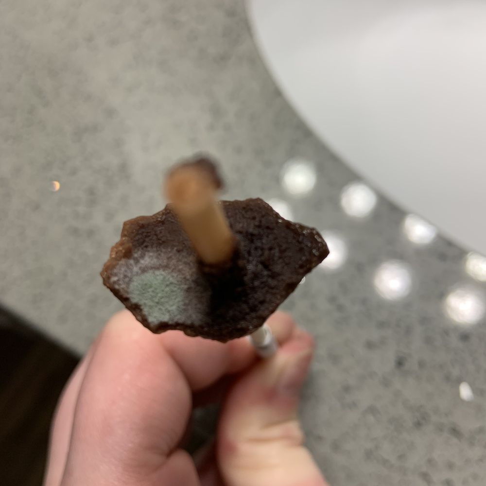 Moldy cake pop.