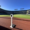 Giants Clubhouse gift card