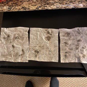 Great Wolf Lodge - Took the liberty of cleaning the vent myself. It required 3 baby wipes front and back. Pulled out the fridge to stand on to clean the vent. - Resorts Near Me - Centralia, Washington Great Wolf Lodge - Took the liberty of cleaning the vent myself. It required 3 baby wipes front and back. Pulled out the fridge to stand on to clean the vent. - Resorts Near Me - Centralia, Washington