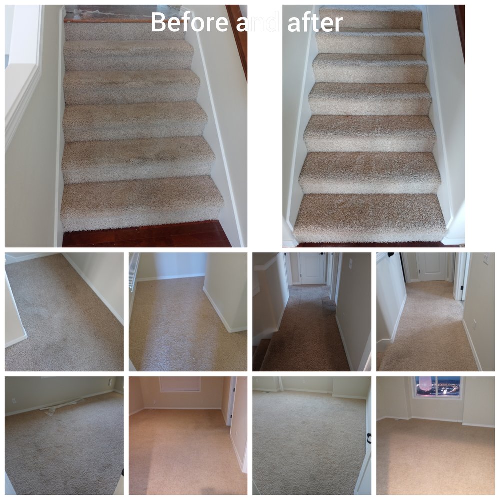 Ab Fly Bye Knight Carpet and Upholstery Cleaning Service