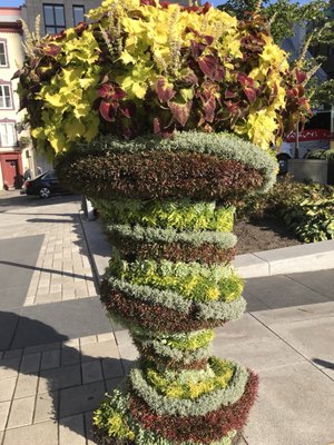 City Hall of Quebec City by null