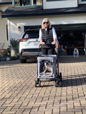 Molly Visser - John L Scott Real Estate