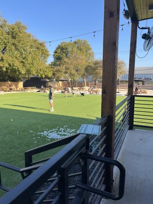 BARk House Social by null