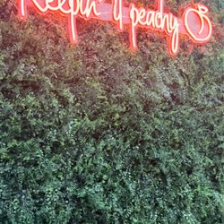 Peach Cobbler Factory - Cute photo wall!