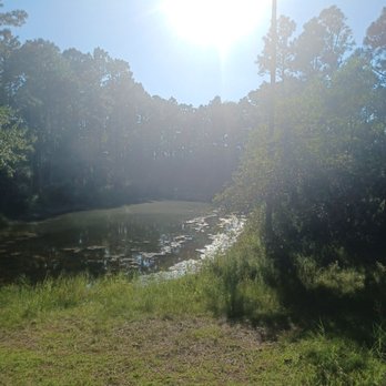Wetlands Park - Ponds throughput - Fishing Near Me - Gulf Shores, Alabama Wetlands Park - Ponds throughput - Fishing Near Me - Gulf Shores, Alabama