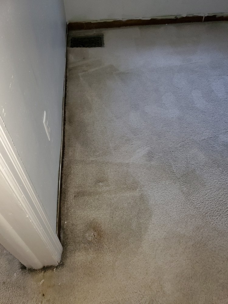 TARGET CARPET CARE Updated August 2024 32 Photos & 18 Reviews