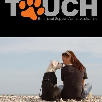 Touch ESA - Psychologists Near Me - Elm Grove, Wisconsin Touch ESA - Psychologists Near Me - Elm Grove, Wisconsin