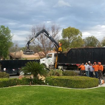 Rancho Tree Service - a group of men standing in front of a truck - Tree Services Near Me - Bakersfield, California Rancho Tree Service - a group of men standing in front of a truck - Tree Services Near Me - Bakersfield, California