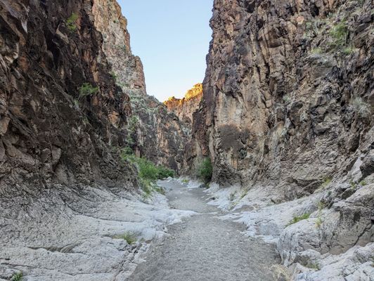Big Bend Ranch State Park by null