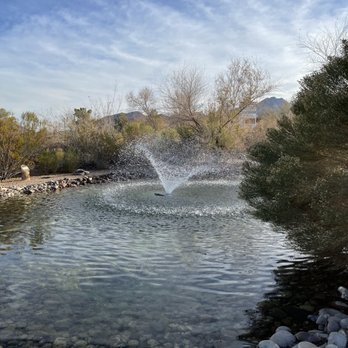 Clark County Museum - Mojave desert exhibit - Museums Near Me - Henderson, Nevada