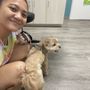 Photo of Bay Moorings Animal Hospital