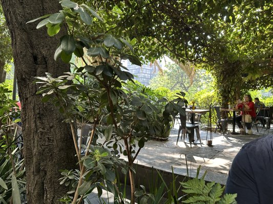 The Ventanita Cafe by null