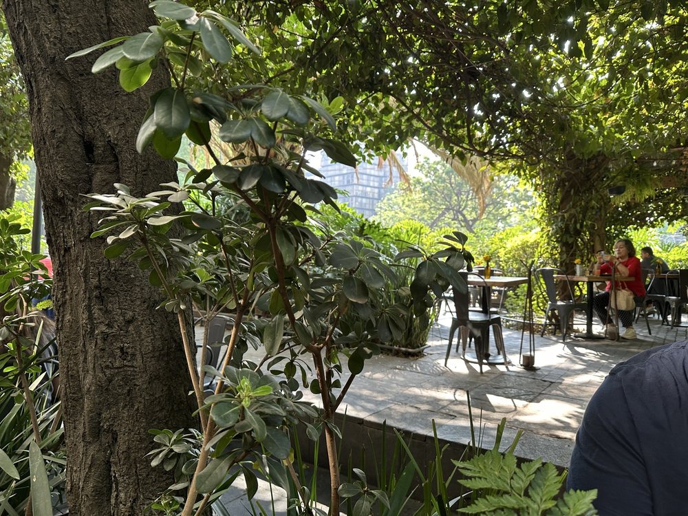 La Ventanita - Coffee & Tea Near Me - Ciudad de México, DIF