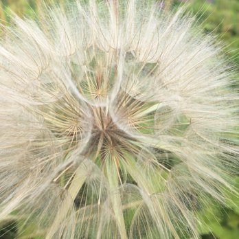 Yelm-Tenino Trail - Active Life Near Me - Yelm, Washington Yelm-Tenino Trail - Active Life Near Me - Yelm, Washington