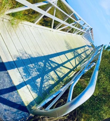 Cannon's Point Preserve by null