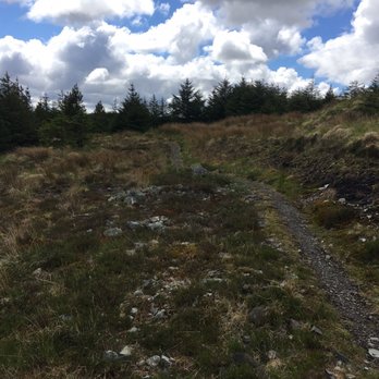 Derroura Mountain Bike Trail - Mountain Biking Near Me - Oughterard, G