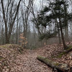 Lantern Hill