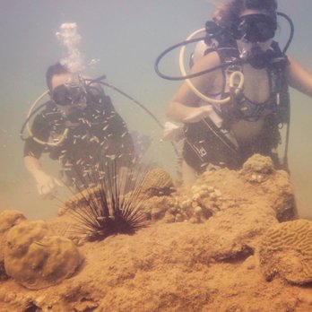 Try Scuba Diving - Scuba Diving Near Me - San Juan, Puerto Rico