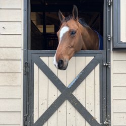 Seabrook Equestrian Center