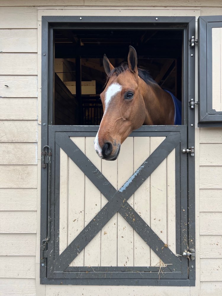 SEABROOK EQUESTRIAN CENTER Updated September 2024 2313 Seabrook